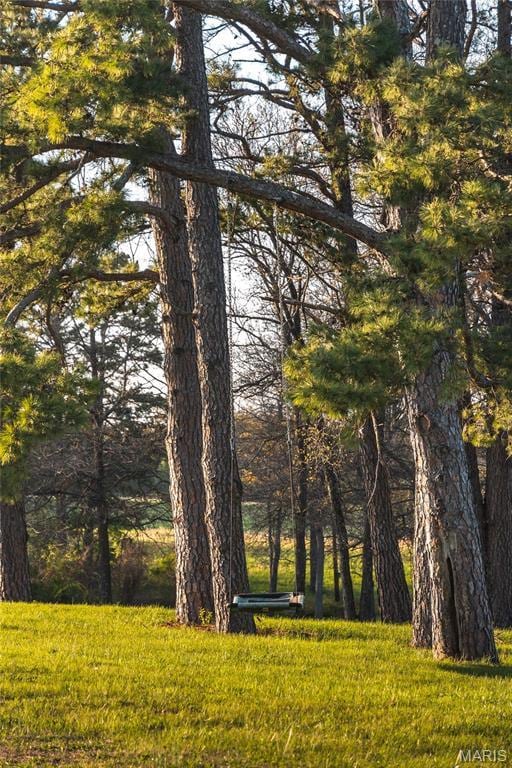 238 Novak Ln, Gerald, MO 63037 - photo 67