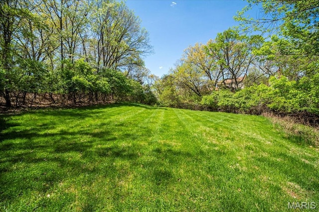 1909 Shepard Rd, Wildwood, MO 63038 - view of grassy yard