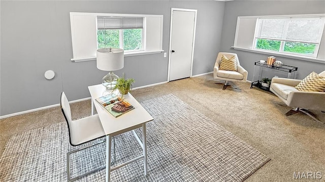 4411 Nelson Dr, Saint Louis, MO 63121 - sitting room with healthy amount of natural light, carpet flooring, and baseboards