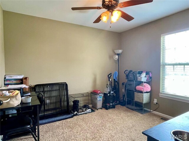 22880 Return Ln, Waynesville, MO 65583 - office space featuring carpet flooring, plenty of natural light, a ceiling fan, and baseboards