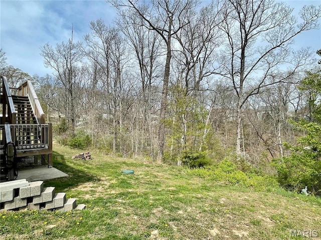 22880 Return Ln, Waynesville, MO 65583 - view of yard with stairs and a wooden deck