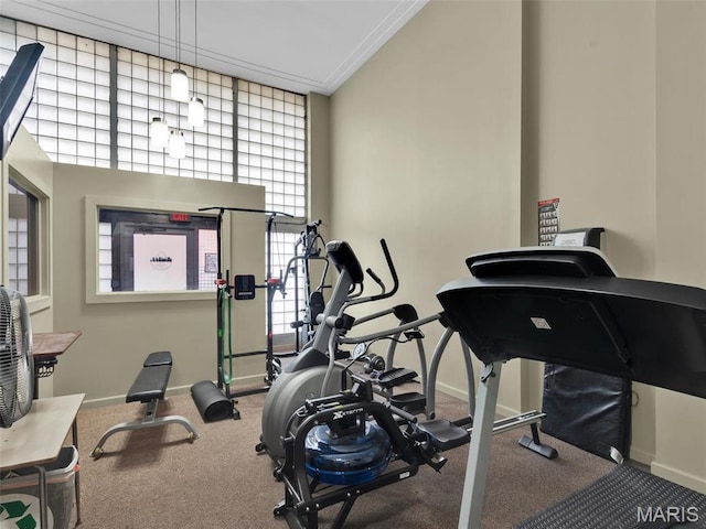 901 Washington Ave Unit 205, Saint Louis, MO 63101 - exercise room with baseboards, carpet floors, and crown molding