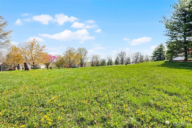 6623 Fox View Dr, Edwardsville, IL 62025 - photo 4