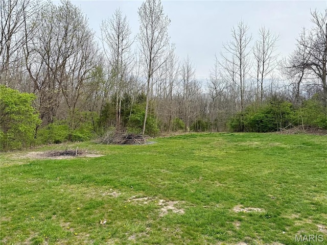 42 Berger Rd, Middletown, MO 63359 - view of grassy yard