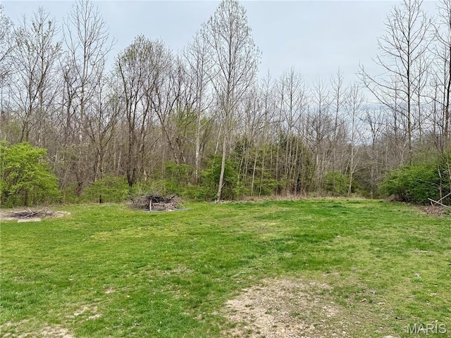 42 Berger Rd, Middletown, MO 63359 - view of grassy yard featuring a view of trees