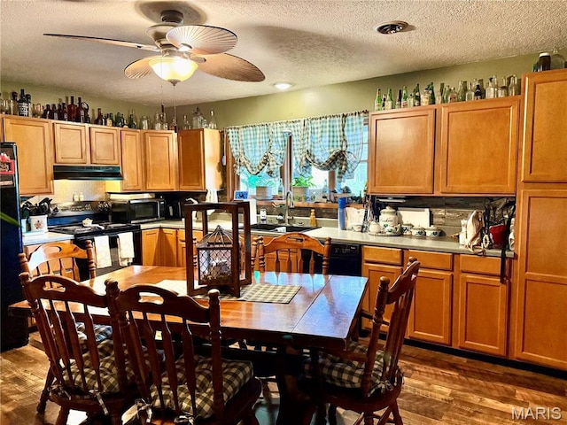 42 Berger Rd, Middletown, MO 63359 - kitchen with electric range, a sink, under cabinet range hood, a ceiling fan, and stainless steel microwave