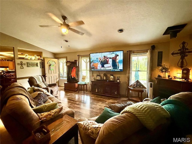 42 Berger Rd, Middletown, MO 63359 - cinema featuring plenty of natural light, ceiling fan, a textured ceiling, wood finished floors, and lofted ceiling