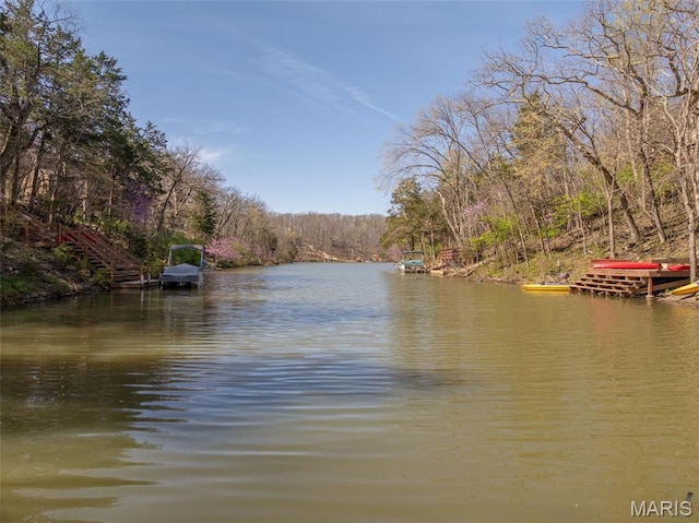 water view with a heavily wooded area