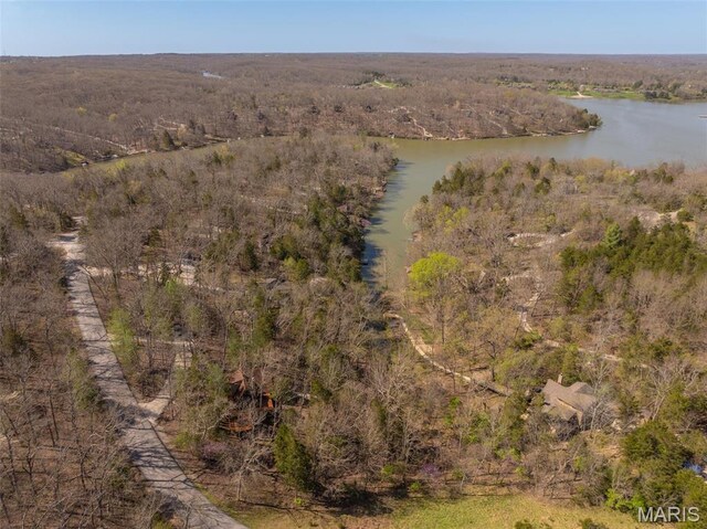 bird's eye view of a large body of water