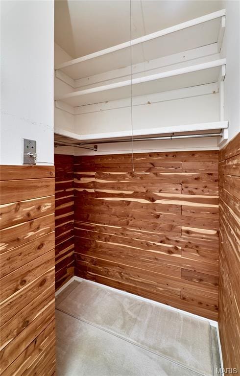 10359 Corbeil Dr Unit D, Saint Louis, MO 63146 - view of spacious closet