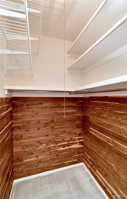 10359 Corbeil Dr Unit D, Saint Louis, MO 63146 - view of walk in closet