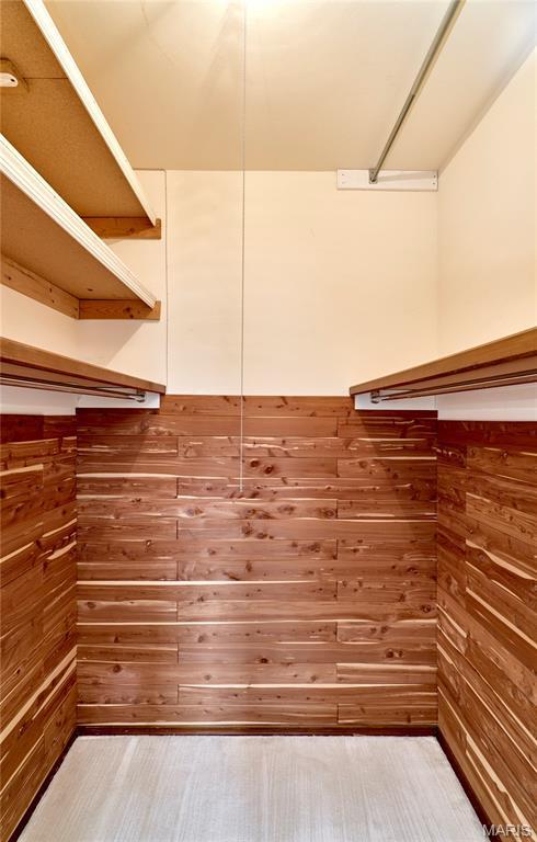 10359 Corbeil Dr Unit D, Saint Louis, MO 63146 - view of walk in closet