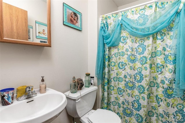 1736 Jc Ave, Waynesville, MO 65583 - bathroom featuring a sink, toilet, and curtained shower