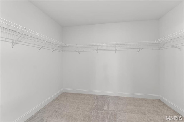 1423 Wild Ridge Estates Ct, Florissant, MO 63033 - walk in closet with light colored carpet