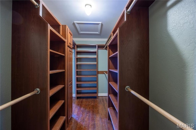 spacious closet with dark wood-style floors