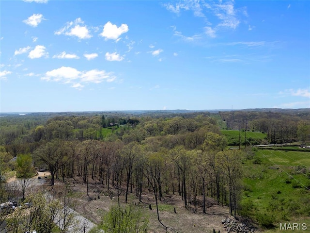 0 Iron Mtn, Bluff-Wicks Arnold, MO 63010