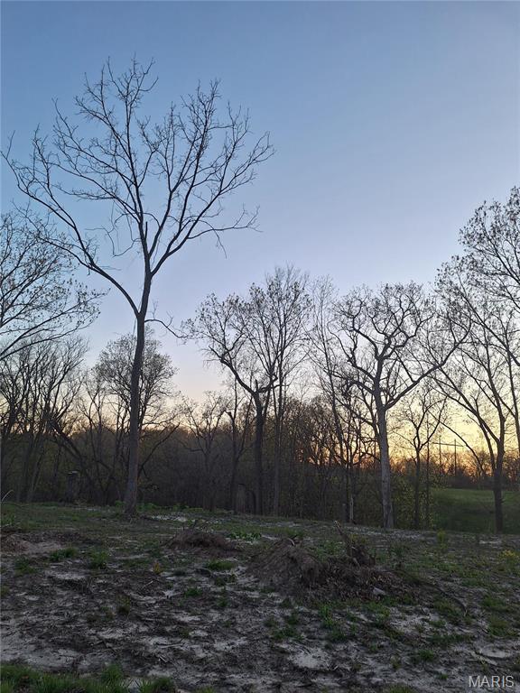 0 Iron Mtn, Bluff-Wicks Arnold, MO 63010