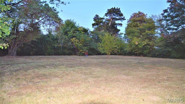 view of grassy yard