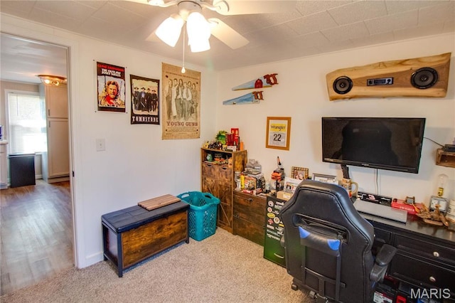 office featuring ceiling fan and carpet