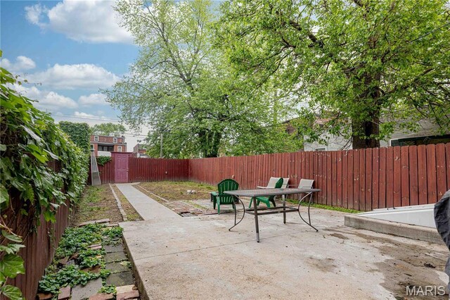 2917 S 18th St, Saint Louis, MO 63118 - photo 38