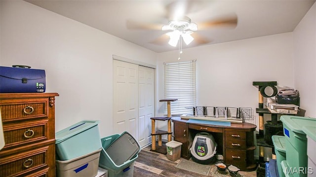 14153 Spring Dr, De Soto, MO 63020 - home office with a ceiling fan and dark wood finished floors