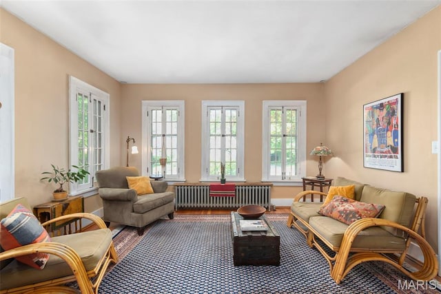 living area featuring radiator and wood finished floors