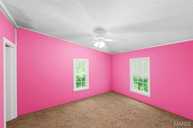 119 Bethel Rd, Hawk Point, MO 63349 - unfurnished room featuring carpet floors, a textured ceiling, ceiling fan, and ornamental molding