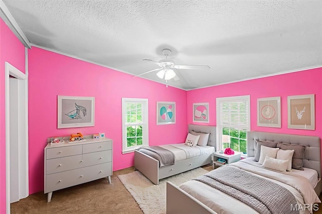 119 Bethel Rd, Hawk Point, MO 63349 - bedroom featuring multiple windows, carpet, a textured ceiling, ceiling fan, and ornamental molding