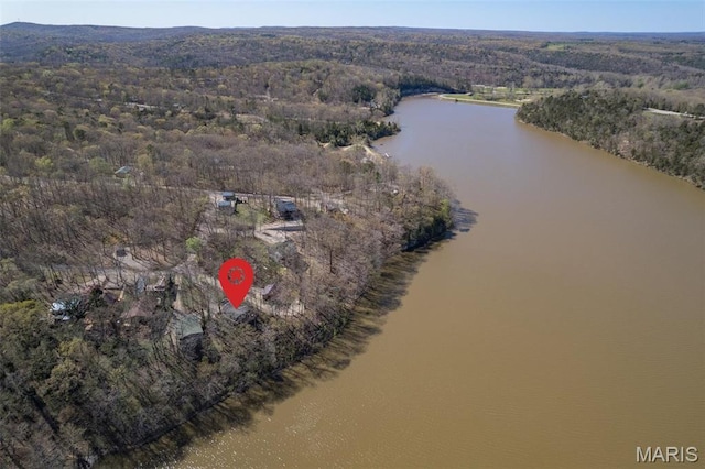 13224 Crow Ln, Saint Genevieve, MO 63670 - view of property location with a nearby body of water and a forest