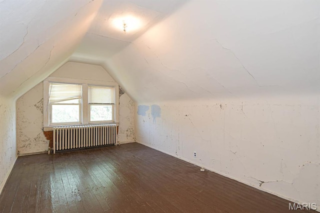 4207 Connecticut St, Saint Louis, MO 63116 - additional living space featuring radiator heating unit, dark wood finished floors, and vaulted ceiling