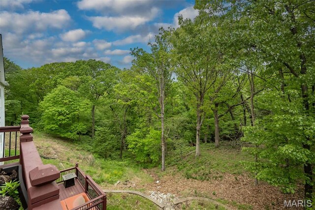 19140 Melrose Rd, Wildwood, MO 63038 - photo 57