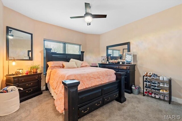1623 Barry Place, De Soto, MO 63020 - photo 15