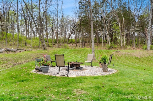 1623 Barry Place, De Soto, MO 63020 - photo 41