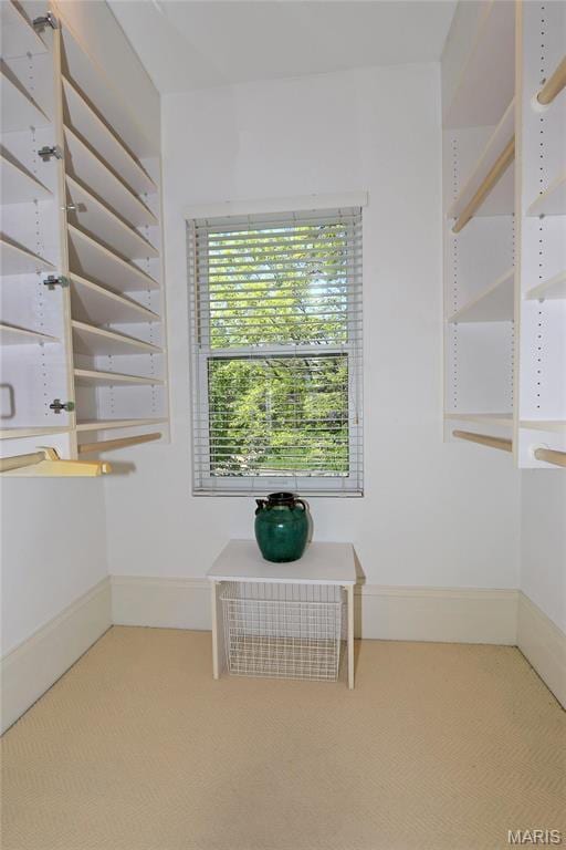 7788 Pershing Ave, Clayton, MO 63105 - detailed view of baseboards and carpet