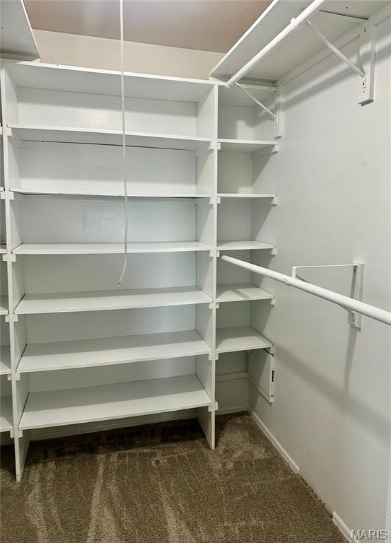 433 Snipes Dr, Saint Charles, MO 63303 - spacious closet featuring dark colored carpet