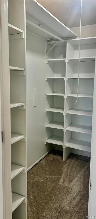 433 Snipes Dr, Saint Charles, MO 63303 - walk in closet featuring carpet flooring