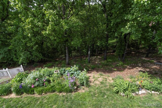 2122 Birchwood Dr, Barnhart, MO 63012 - view of yard with fence