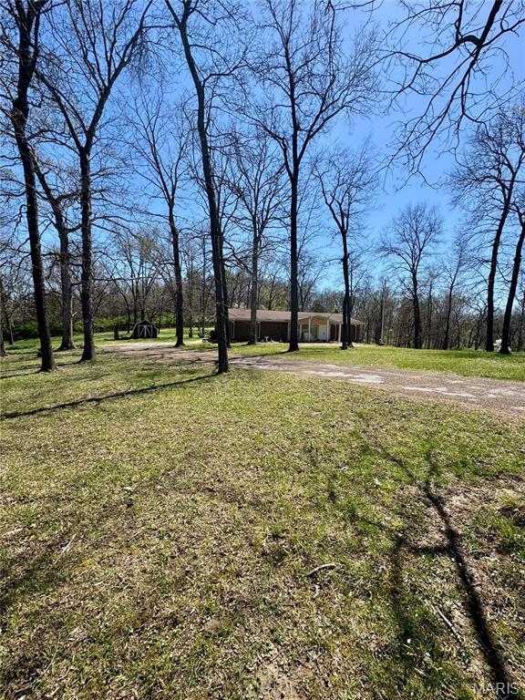 view of green lawn