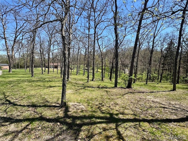 view of green lawn