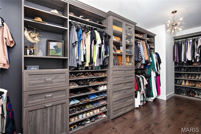 walk in closet featuring dark wood-style floors