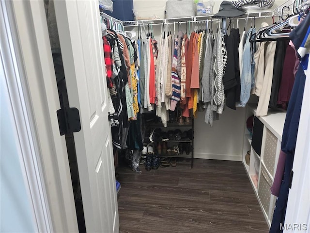 6029 Timber Hollow Ln, High Ridge, MO 63049 - spacious closet with wood finished floors