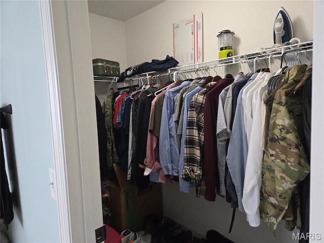 6029 Timber Hollow Ln, High Ridge, MO 63049 - view of spacious closet