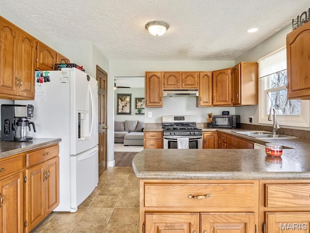 7506 D Rd, Waterloo, IL 62298 - kitchen with stainless steel gas range, under cabinet range hood, a sink, white fridge with ice dispenser, and black microwave