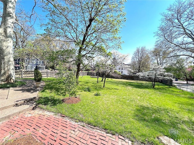 445 E 12th St, Alton, IL 62002 - view of yard