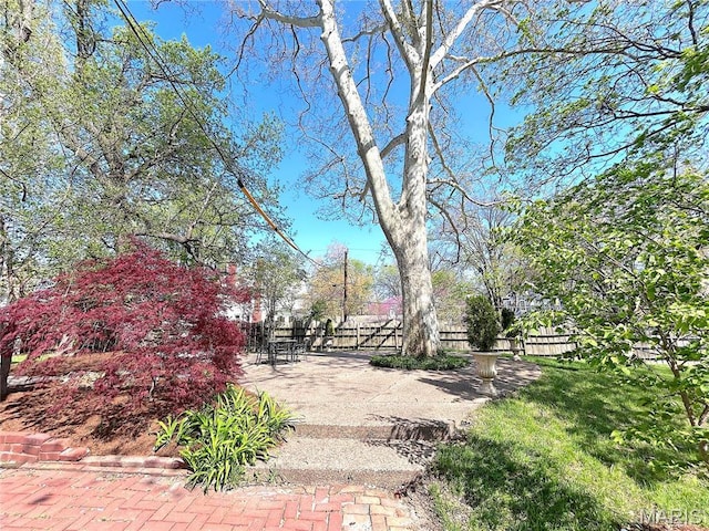 445 E 12th St, Alton, IL 62002 - view of yard with fence and a patio