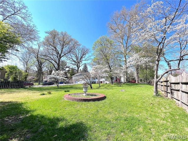 445 E 12th St, Alton, IL 62002 - view of yard