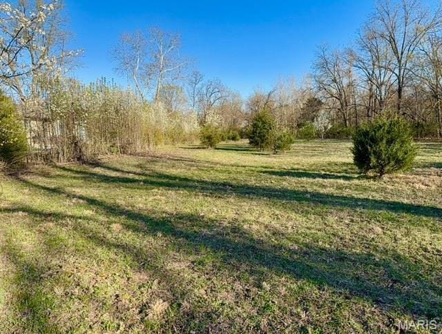 231 Ries Rd Unit A, Ballwin, MO 63021 - photo 2