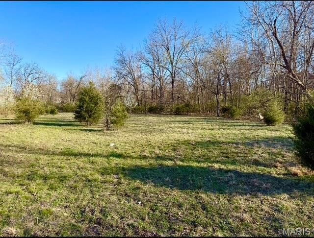 231 Ries Rd Unit A, Ballwin, MO 63021 - photo 3