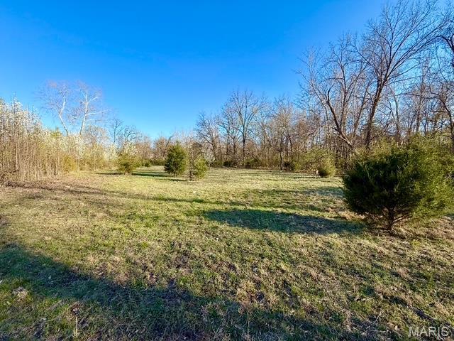 231 Ries Rd Unit A, Ballwin, MO 63021 - photo 4