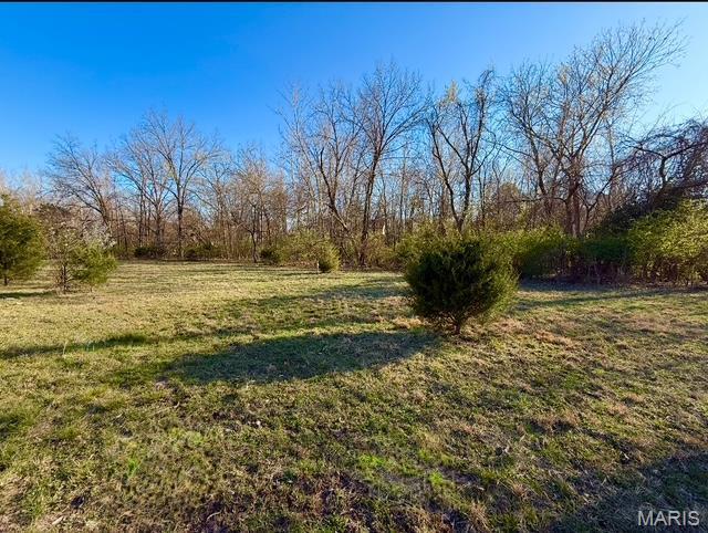 231 Ries Rd Unit A, Ballwin, MO 63021 - photo 5